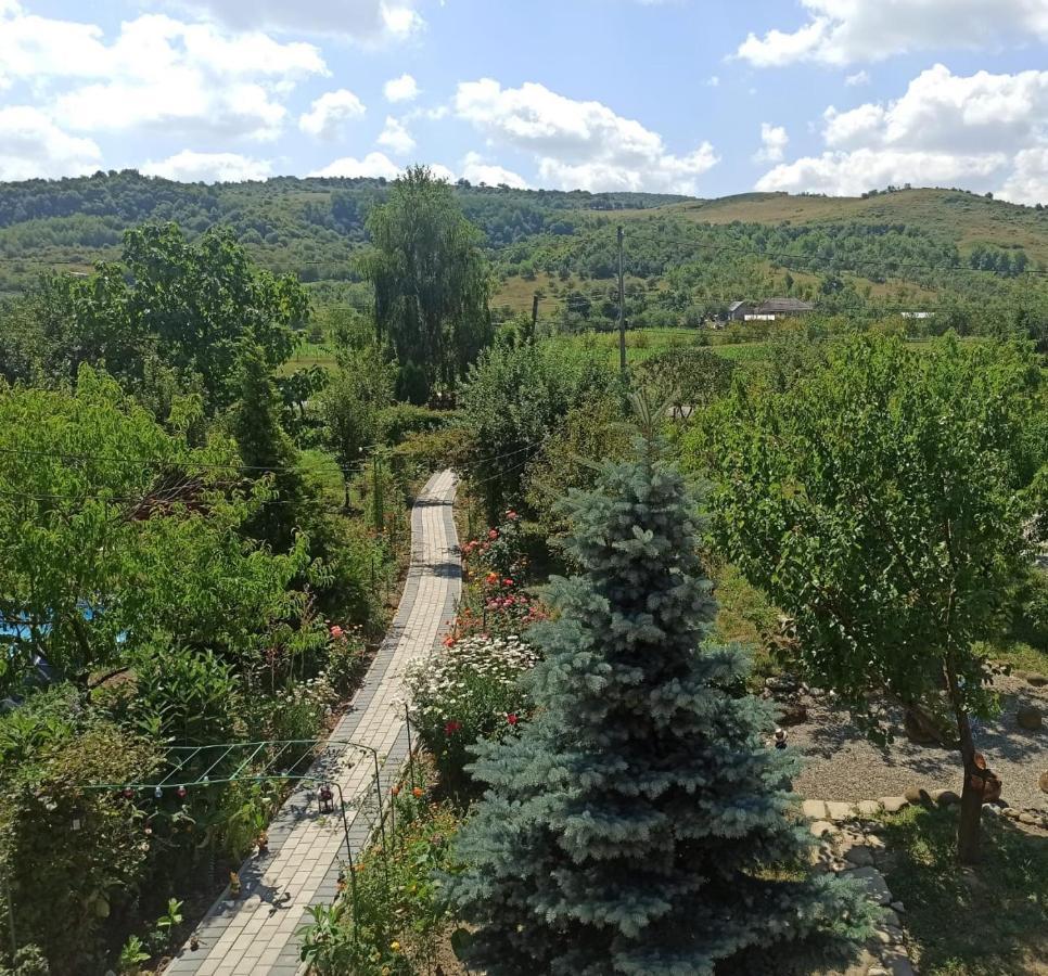 Branistea  Agropensiunea Florina-Maria מראה חיצוני תמונה